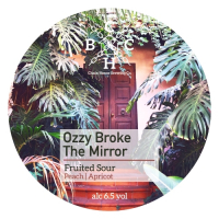 Пиво Ozzy Broke the Mirror