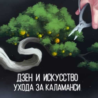 Пиво Дзен и искусство ухода за каламанси Пиво Дзен и искусство ухода за каламанси