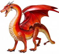 Пиво Session Dragon Fruit