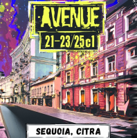 Пиво Avenue 21-23/25c1 Пиво Avenue 21-23/25c1