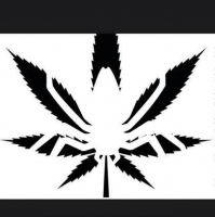 Пиво White Widow