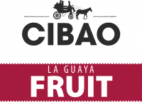 Пиво La Guaya Fruit