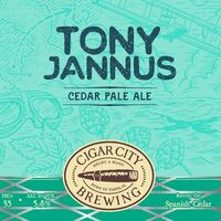 Пиво Tony Jannus Pale Ale