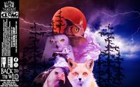 Пиво Back To the Wild