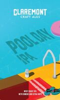 Пиво Pool Day IPA