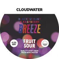 Пиво Blackcurrant & Raspberry Breeze Пиво Blackcurrant & Raspberry Breeze
