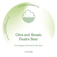 Пиво Citra & Mosaic Foudre Beer Пиво Citra & Mosaic Foudre Beer