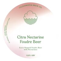 Пиво Citra Nectarine Foudre Beer Пиво Citra Nectarine Foudre Beer
