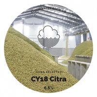 Пиво CY18 Citra Пиво CY18 Citra