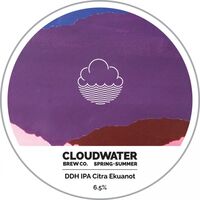 Пиво DDH IPA Citra Ekuanot Пиво DDH IPA Citra Ekuanot