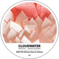 Пиво DDH IPA Nelson Sauvin Galaxy Пиво DDH IPA Nelson Sauvin Galaxy