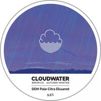 Пиво DDH Pale Citra Ekuanot Пиво DDH Pale Citra Ekuanot