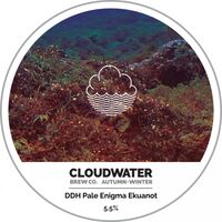 Пиво DDH Pale Enigma Ekuanot Пиво DDH Pale Enigma Ekuanot
