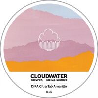 Пиво DIPA Citra T90 Amarillo Пиво DIPA Citra T90 Amarillo