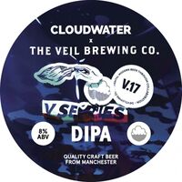 Пиво DIPA V17 Пиво DIPA V17