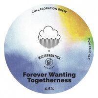Пиво Forever Wanting Togetherness Пиво Forever Wanting Togetherness