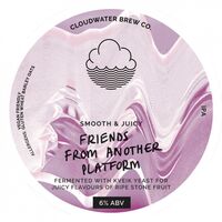 Пиво Friends From Another Platform Пиво Friends From Another Platform