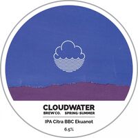 Пиво IPA Citra BBC Ekuanot Пиво IPA Citra BBC Ekuanot