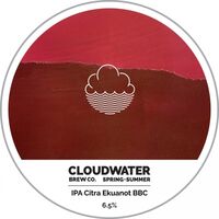 Пиво IPA Citra Ekuanot BBC Пиво IPA Citra Ekuanot BBC