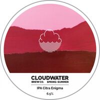 Пиво IPA Citra Enigma Пиво IPA Citra Enigma