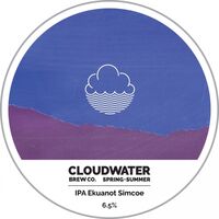 Пиво IPA Ekuanot Simcoe Пиво IPA Ekuanot Simcoe