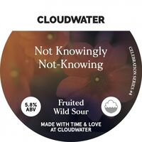 Пиво Not Knowingly Not-Knowing Пиво Not Knowingly Not-Knowing