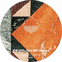 Пиво NW DIPA Citra BBC Simcoe Пиво NW DIPA Citra BBC Simcoe