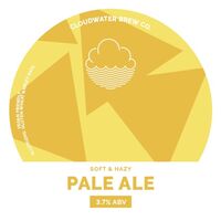 Пиво Pale Ale (Tesco) Пиво Pale Ale (Tesco)