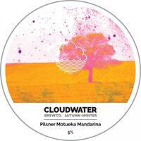 Пиво Pilsner Motueka Mandarina Пиво Pilsner Motueka Mandarina
