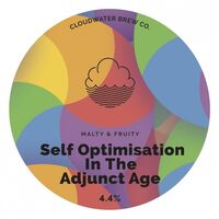 Пиво Self Optimisation In the Adjunct Age Пиво Self Optimisation In the Adjunct Age