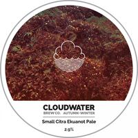 Пиво Small Citra Ekuanot Pale Пиво Small Citra Ekuanot Pale