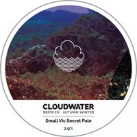 Пиво Small Vic Secret Pale Пиво Small Vic Secret Pale