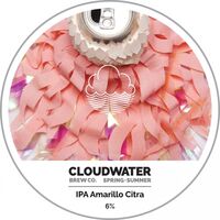 Пиво Spring + Summer IPA Amarillo Citra Пиво Spring + Summer IPA Amarillo Citra