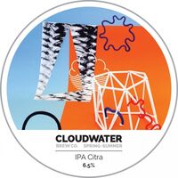 Пиво Spring + Summer IPA Citra Пиво Spring + Summer IPA Citra