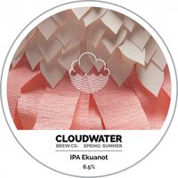 Пиво Spring + Summer IPA Ekuanot Пиво Spring + Summer IPA Ekuanot