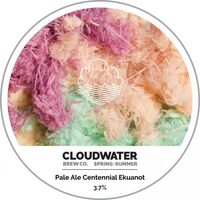 Пиво Spring + Summer Pale Ale Centennial Ekuanot Пиво Spring + Summer Pale Ale Centennial Ekuanot