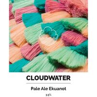 Пиво Spring + Summer Pale Ale Ekuanot Пиво Spring + Summer Pale Ale Ekuanot