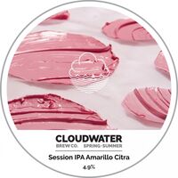 Пиво Spring + Summer Session IPA Amarillo Citra Пиво Spring + Summer Session IPA Amarillo Citra