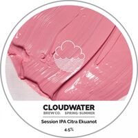 Пиво Spring + Summer Session IPA Citra Ekuanot Пиво Spring + Summer Session IPA Citra Ekuanot