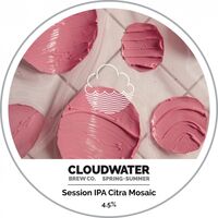 Пиво Spring + Summer Session IPA Citra Mosaic Пиво Spring + Summer Session IPA Citra Mosaic
