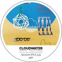 Пиво Spring + Summer Session IPA E.431 Пиво Spring + Summer Session IPA E.431