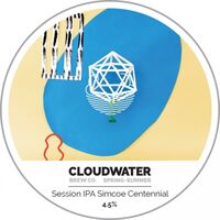 Пиво Spring + Summer Session IPA Simcoe Centennial Пиво Spring + Summer Session IPA Simcoe Centennial