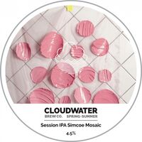 Пиво Spring + Summer Session IPA Simcoe Mosaic Пиво Spring + Summer Session IPA Simcoe Mosaic