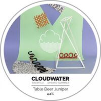 Пиво Spring + Summer Table Beer Juniper Пиво Spring + Summer Table Beer Juniper