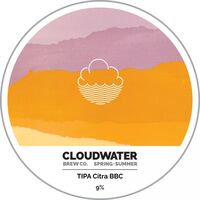Пиво TIPA Citra BBC Пиво TIPA Citra BBC