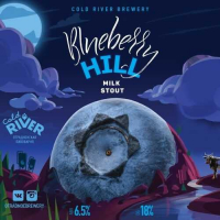 Пиво Blueberry Hill