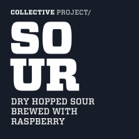 Пиво Raspberry Dry Hopped Sour Пиво Raspberry Dry Hopped Sour