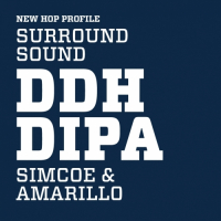 Пиво Surround Sound DDH DIPA V2 w/ Simcoe & Amarillo Пиво Surround Sound DDH DIPA V2 w/ Simcoe & Amarillo