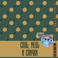 Пиво Соль, медь и спички TCBFest 2024 Edition / Salt, Copper And Matches TCBFest 2024 Edition