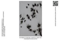 Пиво МОЛОДЁЖЬ В ПОДЪЕЗДЕ СОБИРАЕТСЯ, ПИВО ПЬЁТ, СПИЧКАМИ ПОТОЛОК КОПТИТ